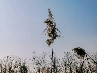 Bit4win Casino Aip Soghluaiste